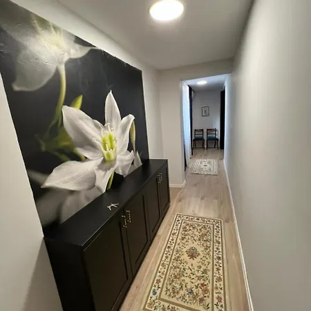 Apartment Supreme